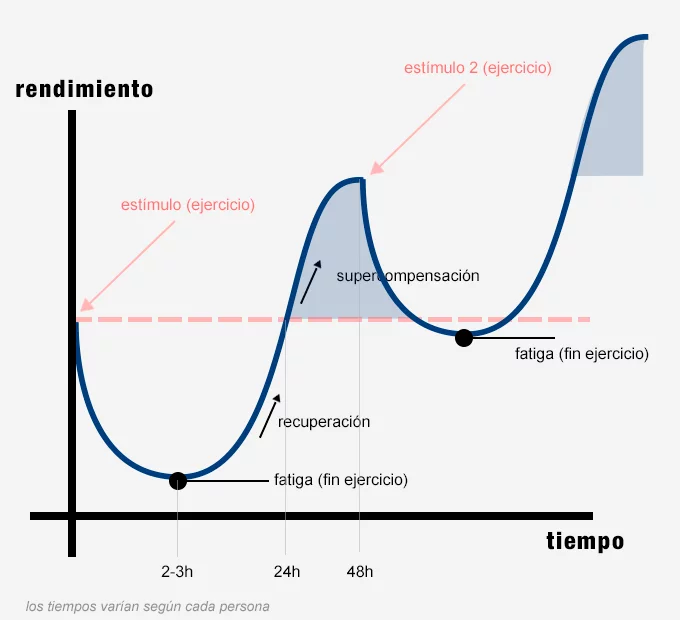 Curva de supercompensación positiva