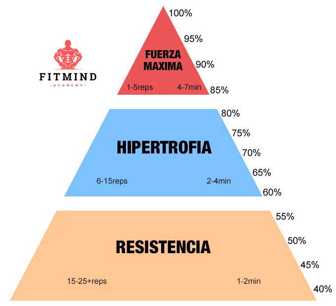 tiempo de recuperación en el gym según tipo de fuerza