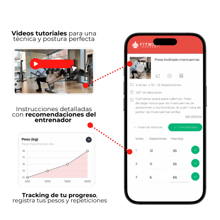 Rutinas deportivas detalladas en app